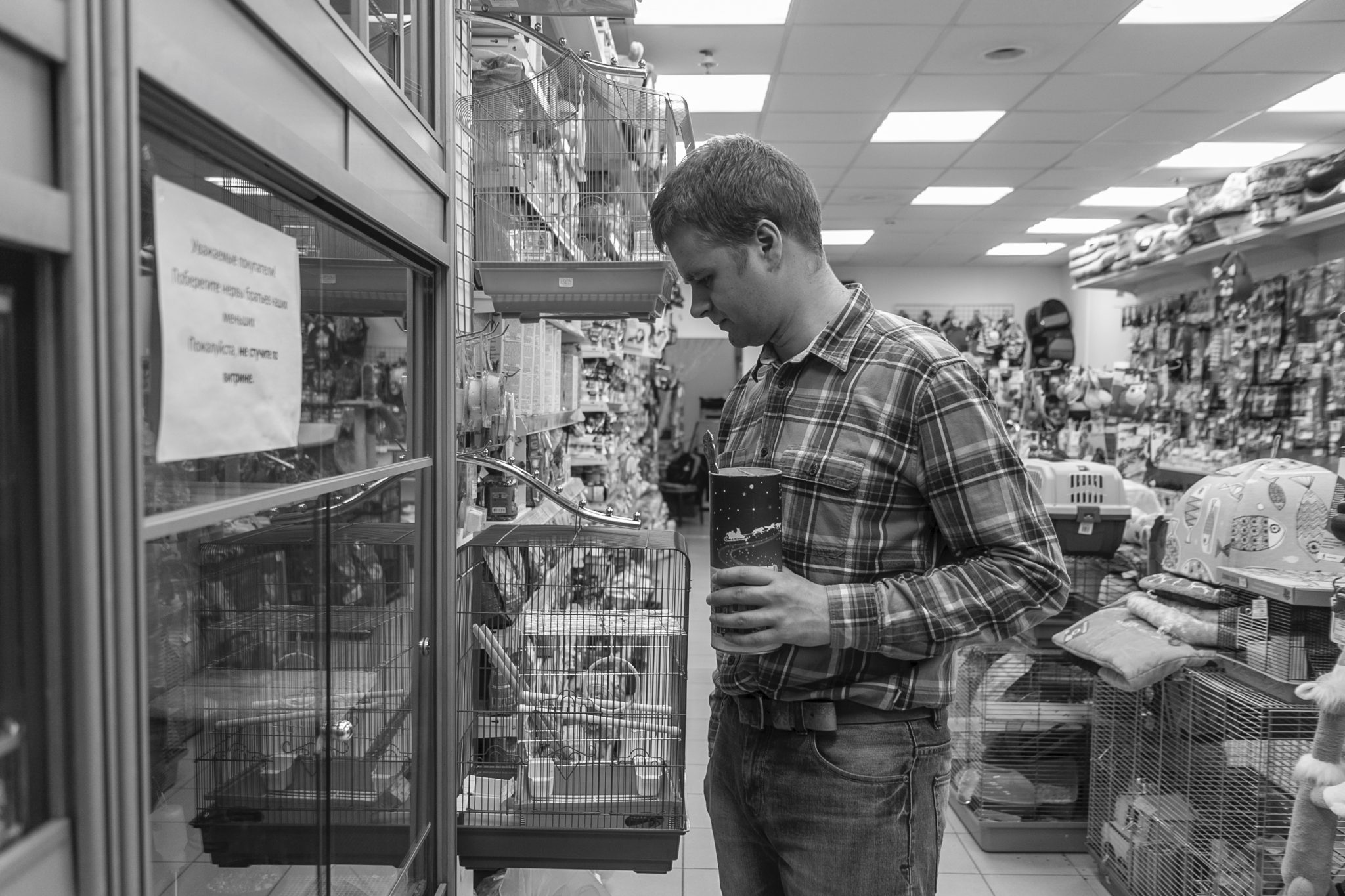 Работа на владе. Работа на владе. Зооподарки магазин сайт. Суперопт. Работа на владе.